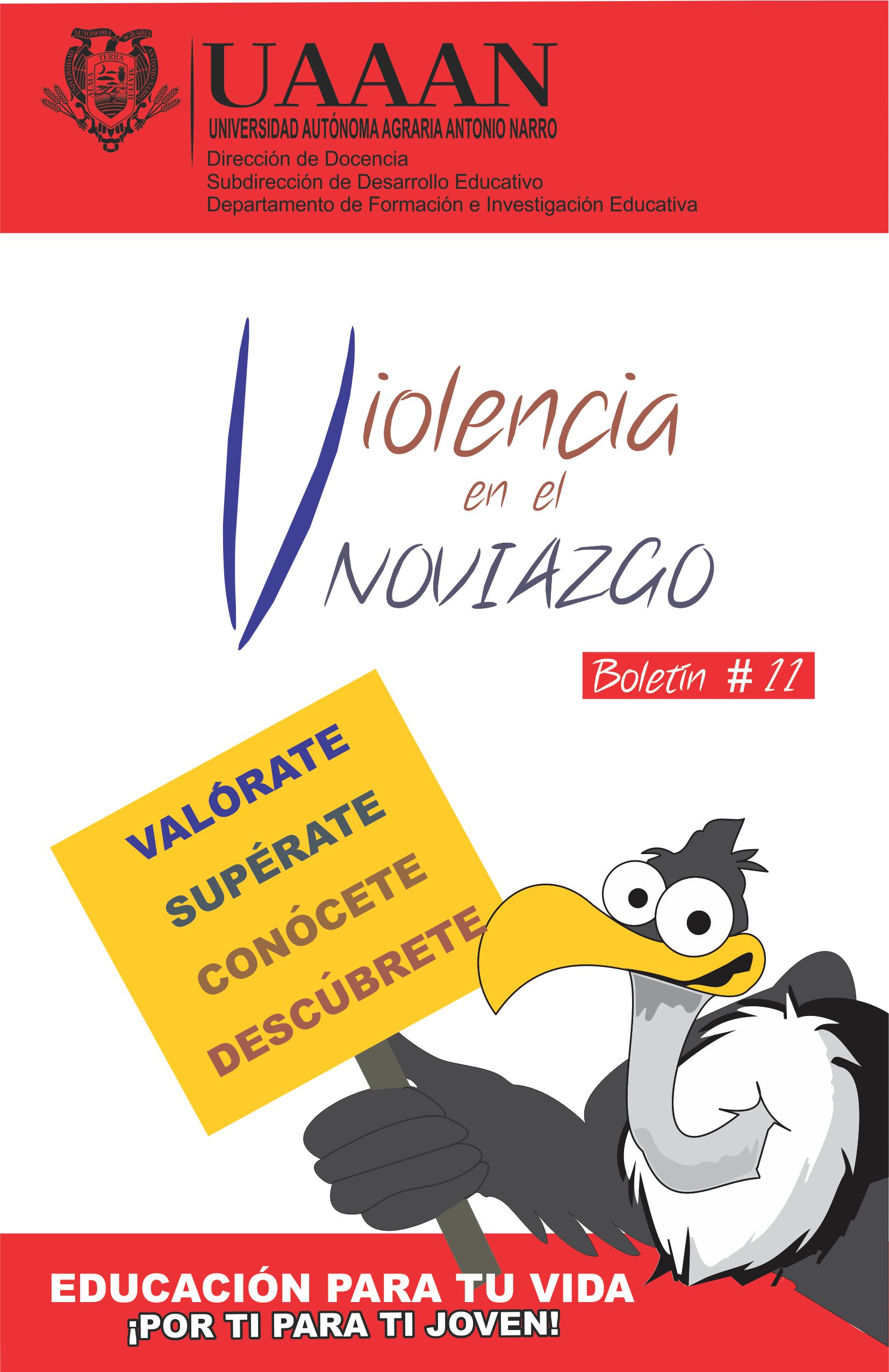 boletin 11