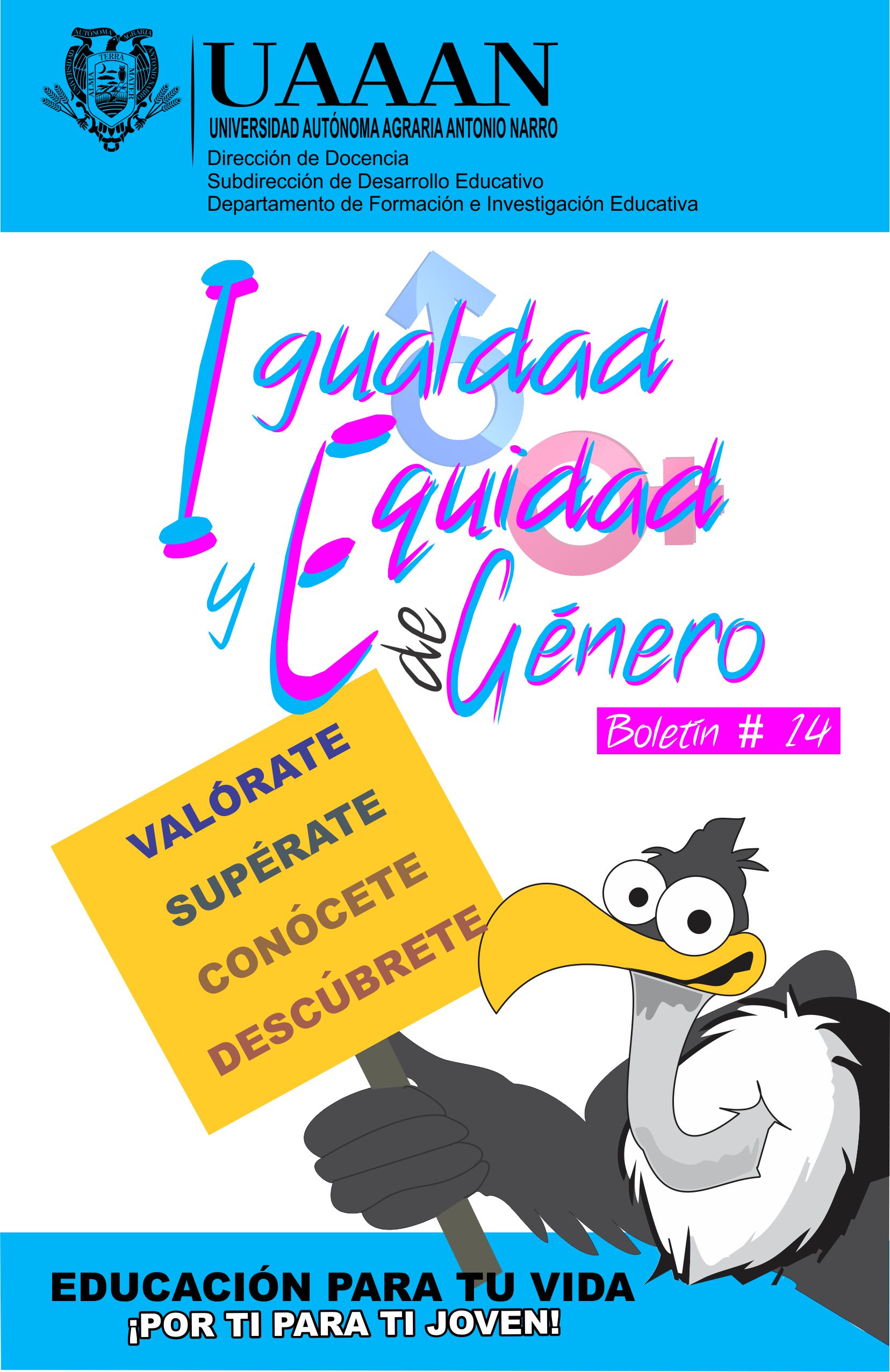 boletin 11