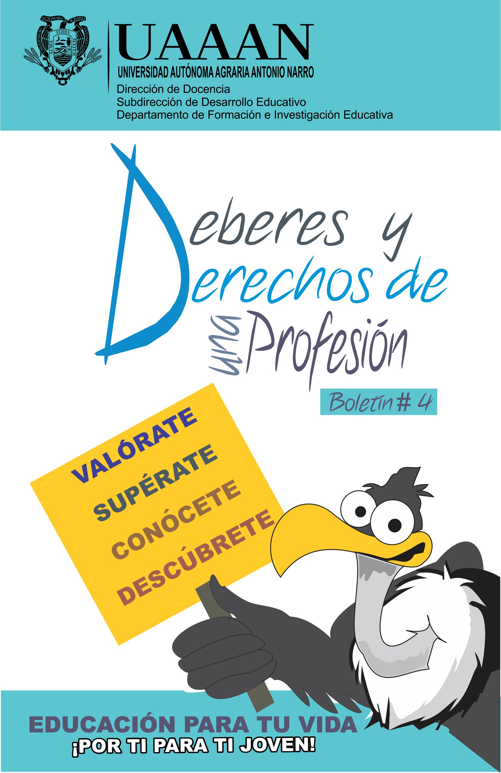 boletin 4