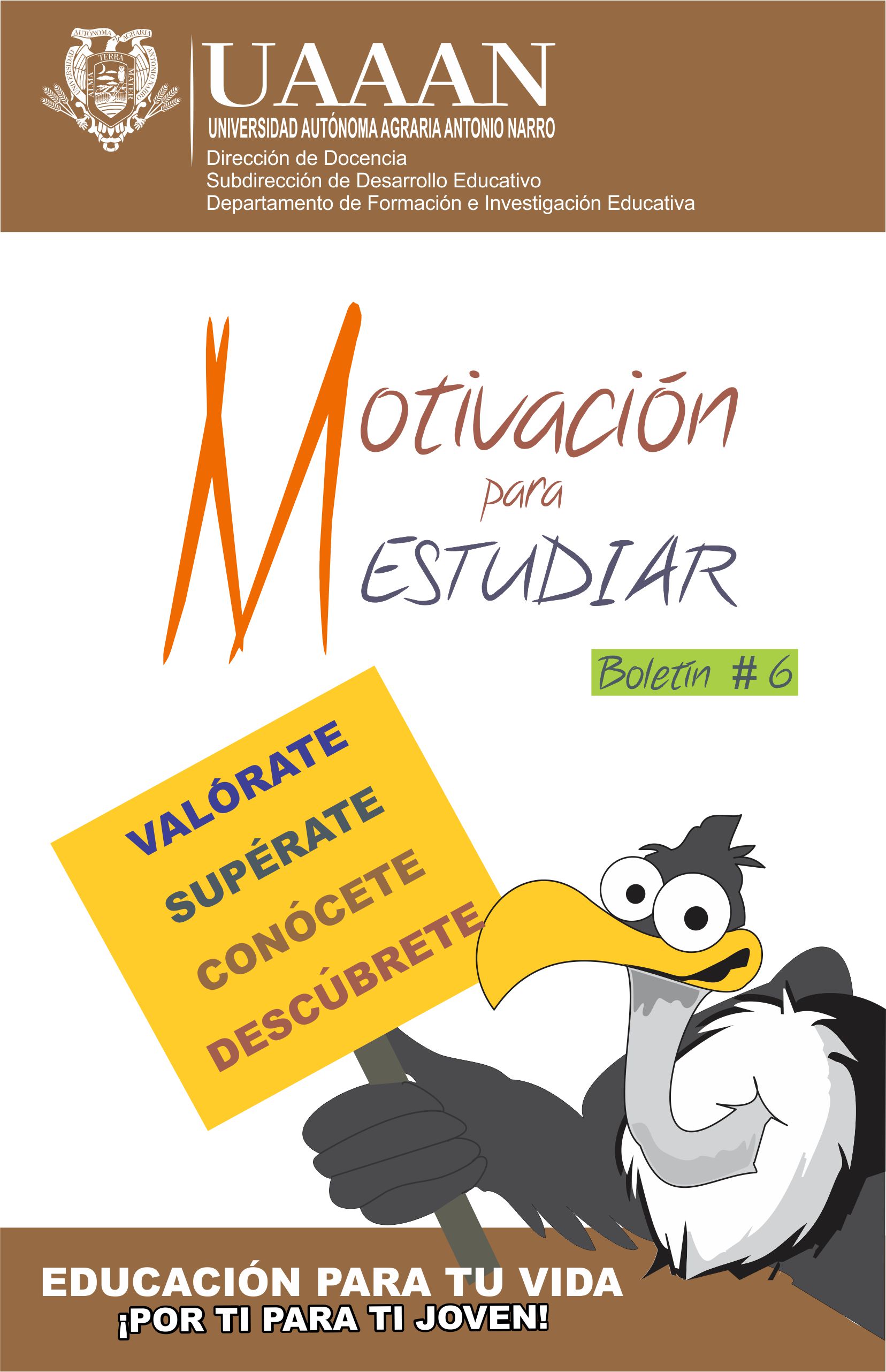 boletin 6